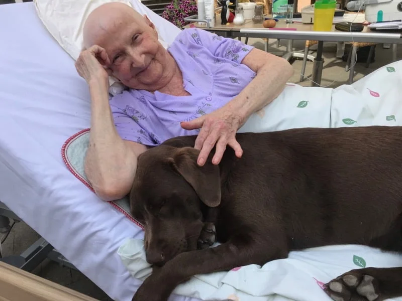 Pies terapeutyczny z pacjentką w hospicjum