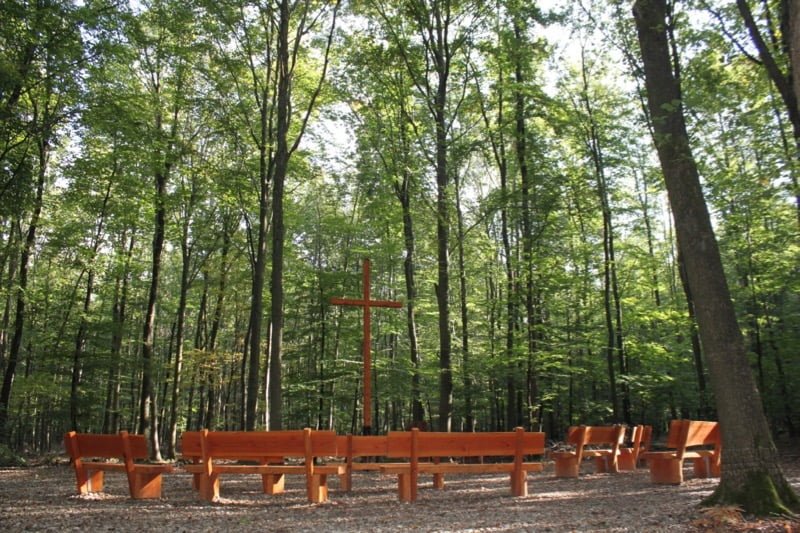 Miejsce na ceremonie na leśnym cmentarzu