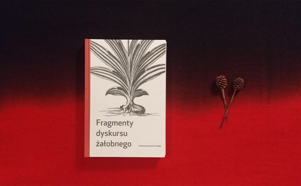 Okładka książki Fragmenty dyskursu żałobnego