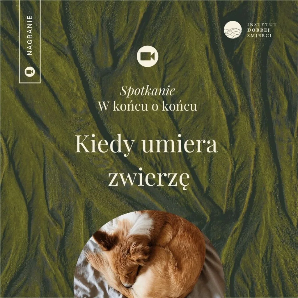 Grafika Kiedy umiera zwierzę