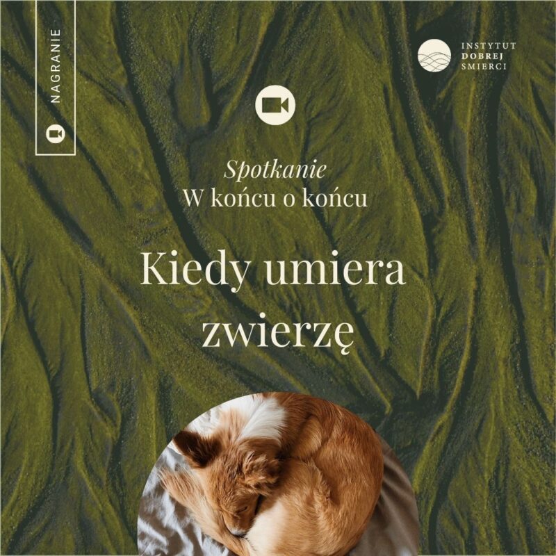 Grafika Kiedy umiera zwierzę