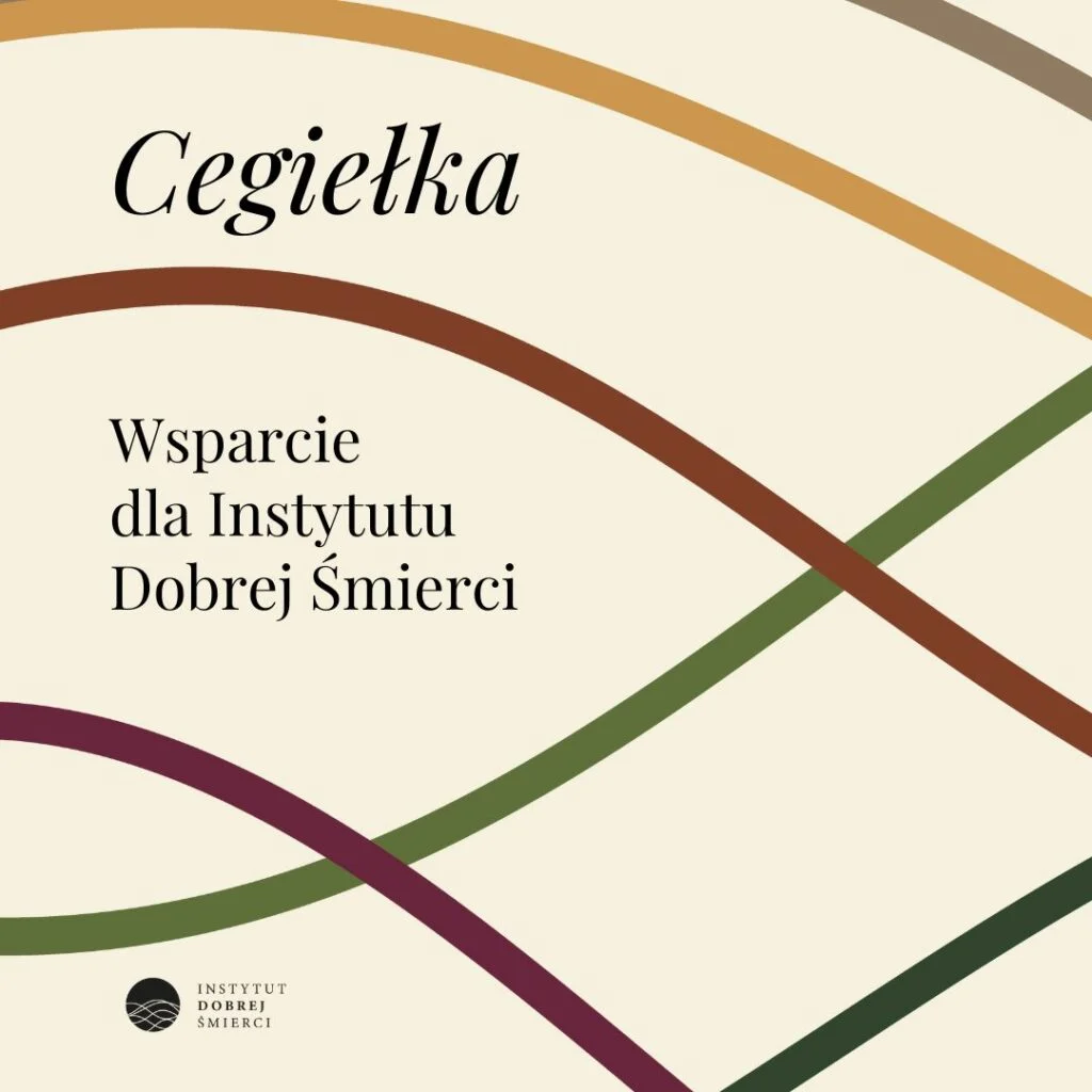 Grafika z kolorowymi falami do produktu "Cegiełka"