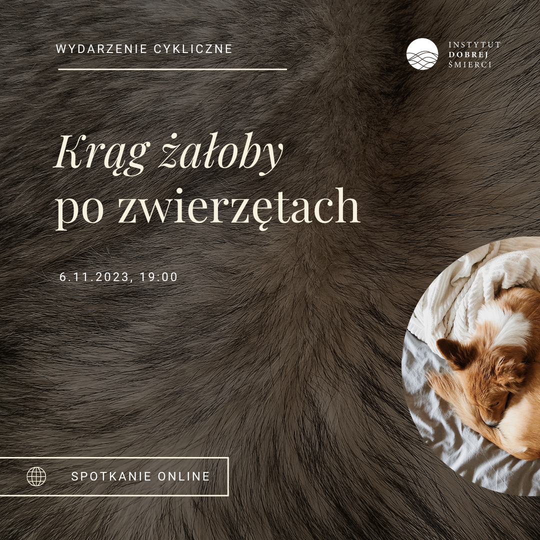 Zwinięty w kłębek pies na tle o fakturze sierści.