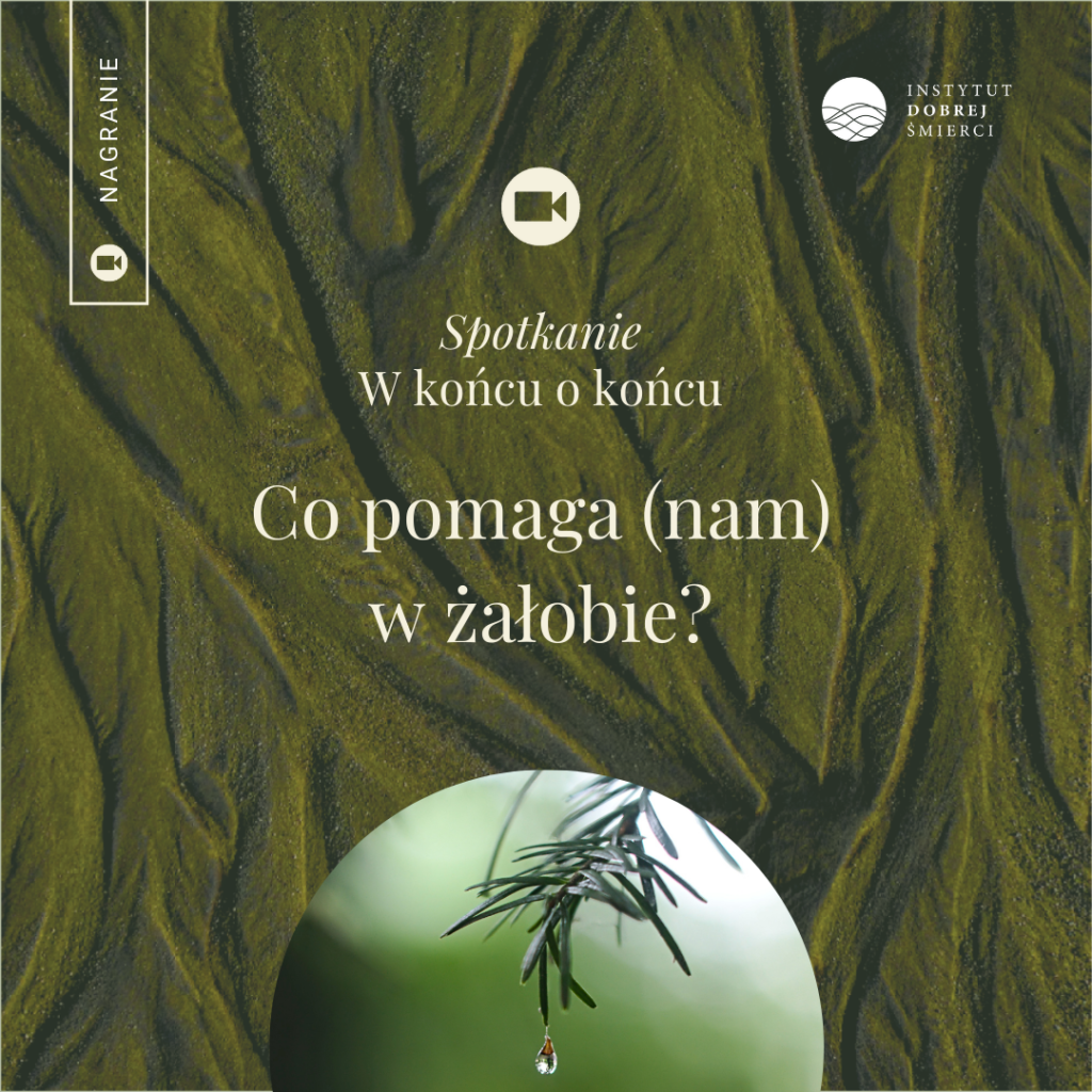 Grafika przedstawia gałązkę iglastego drzewa z kroplą.