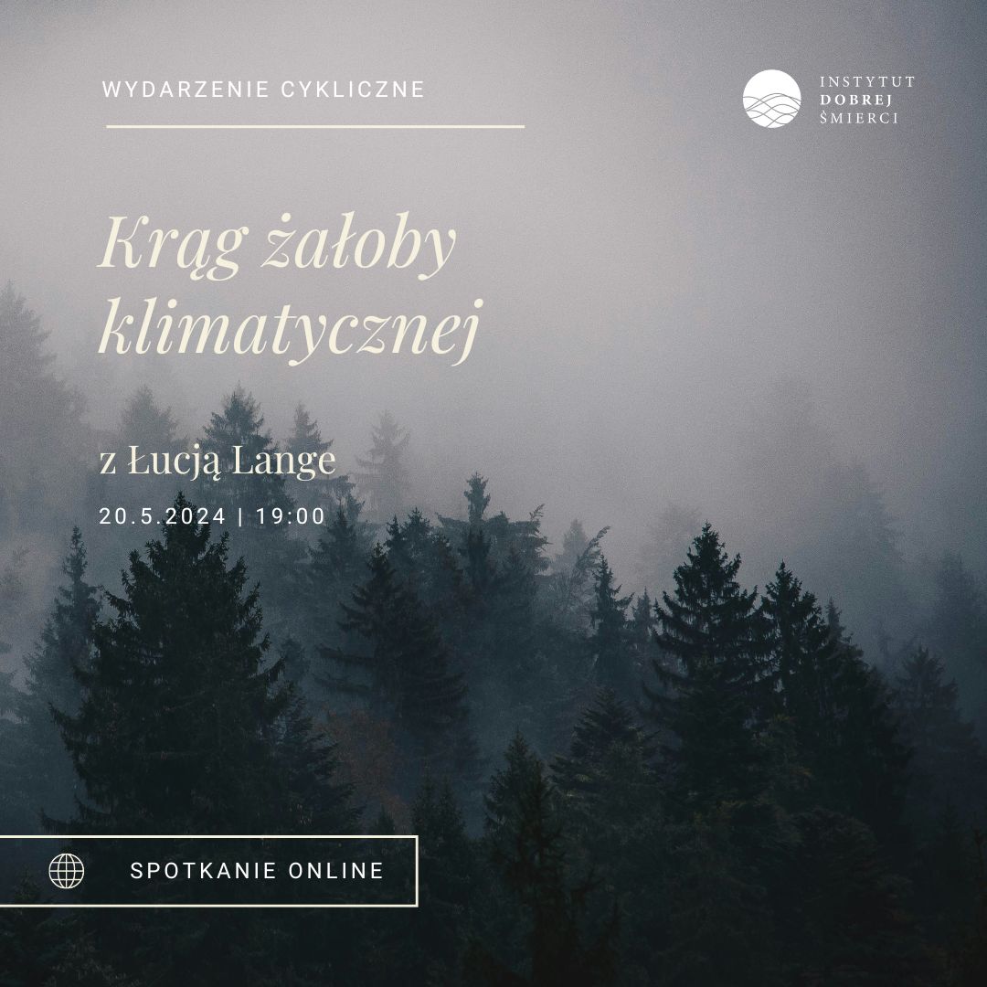 Zdjęcie przedstawia korony iglastych drzew we mgle.