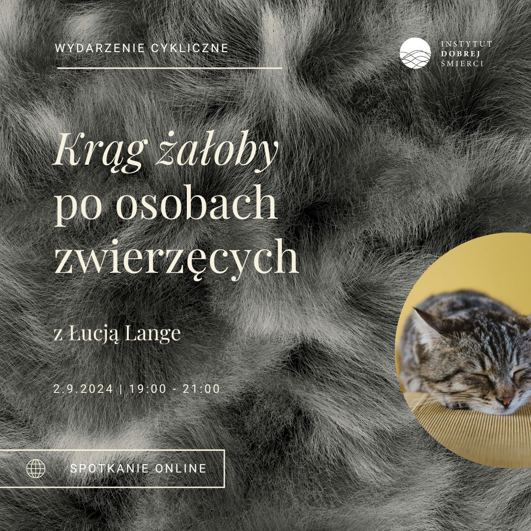 Grafika przedstawia zdjęcie kota na tle szarej sierści.