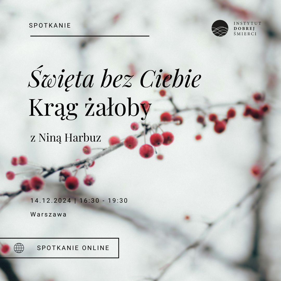 Gałązka jarzębiny w zimowej aurze