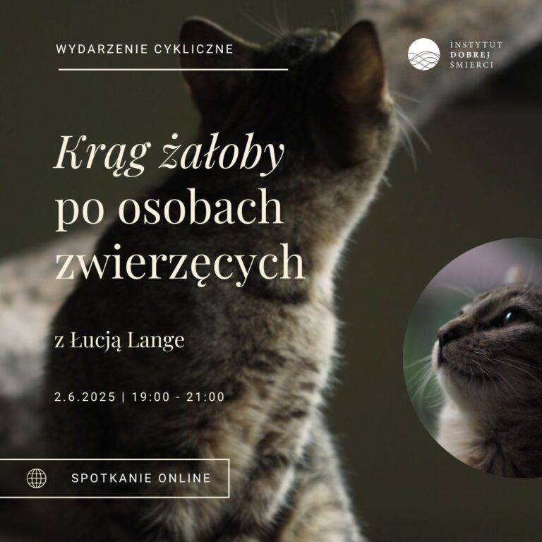 Sylwetka kota odwróconego tyłem obok z pyszczkiem kotka z profilu