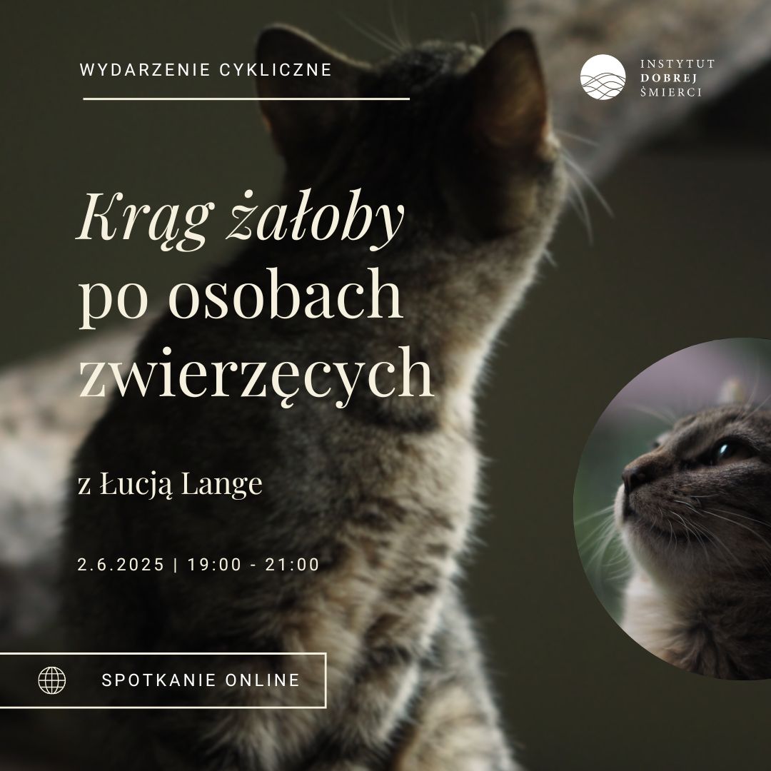 Sylwetka kota odwróconego tyłem obok z pyszczkiem kotka z profilu