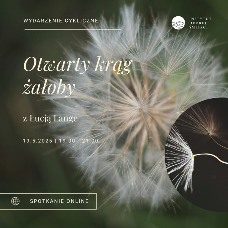 biały dmuchawiec na zielonym tle