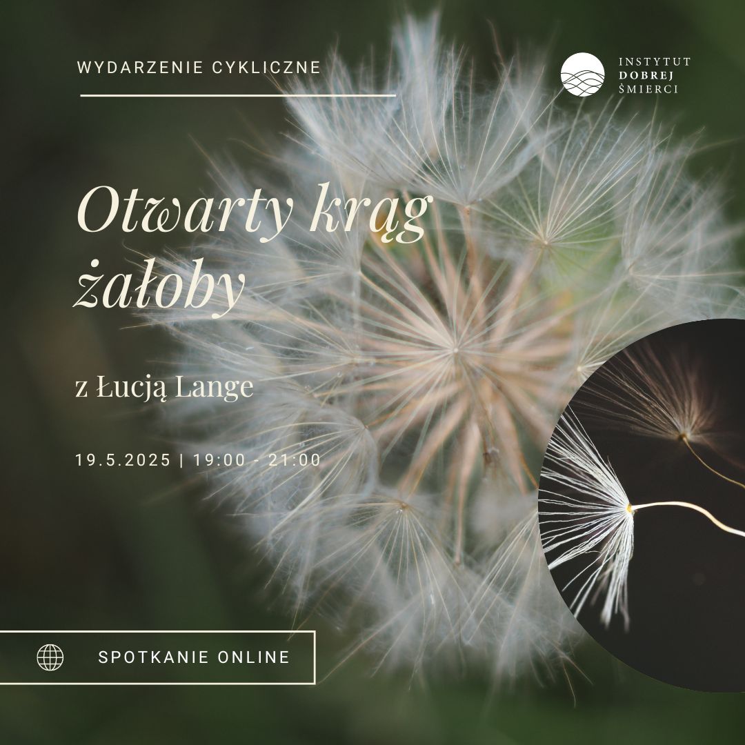 biały dmuchawiec na zielonym tle