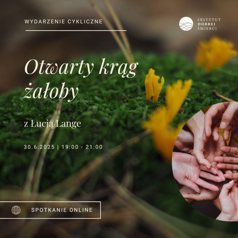 Mech i małe żółte grzybki, obok na zdjęciu w kółku dłonie