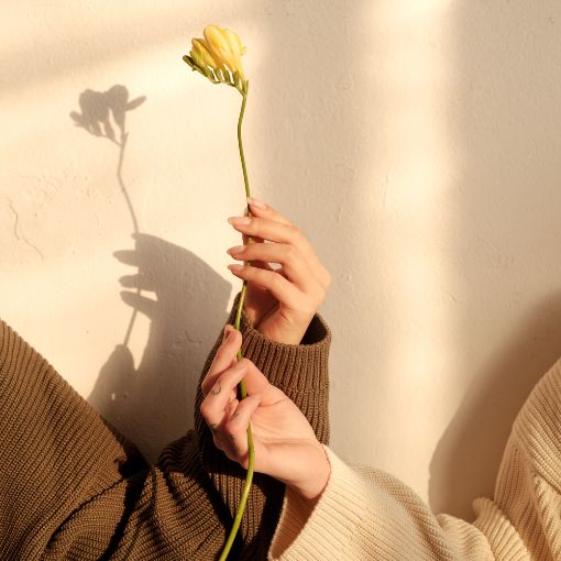 Dłonie dwóch osób trzymające ten sam żółty kwiat.