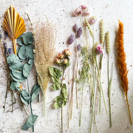 Suszone, polne kwiaty