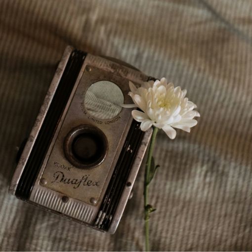 Stary aparat fotograficzny z białym kwiatem.