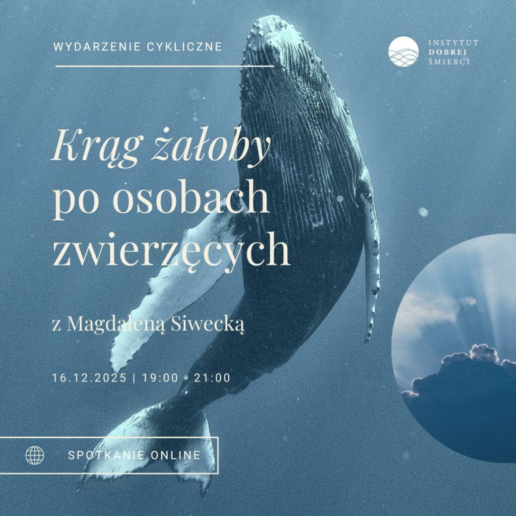 Wieloryb i niebo w małym zdjęciu