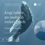 Wieloryb i niebo w małym zdjęciu