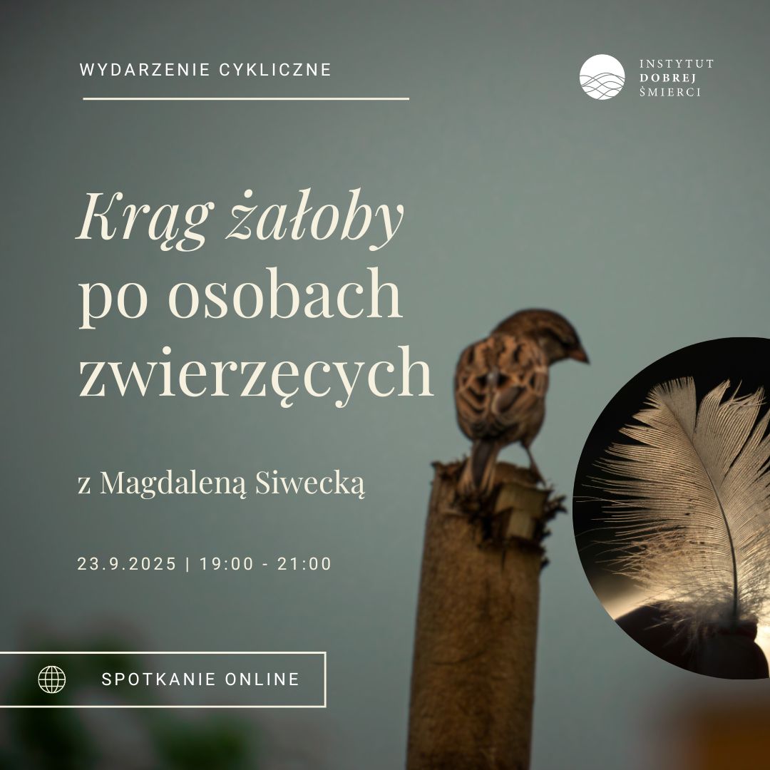 Ptaszek i pióro