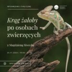 kameleon na kawałku drewna