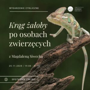 kameleon na kawałku drewna