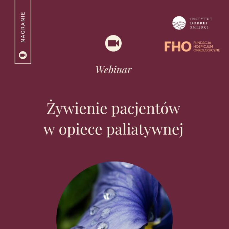 kwiat po deszczu