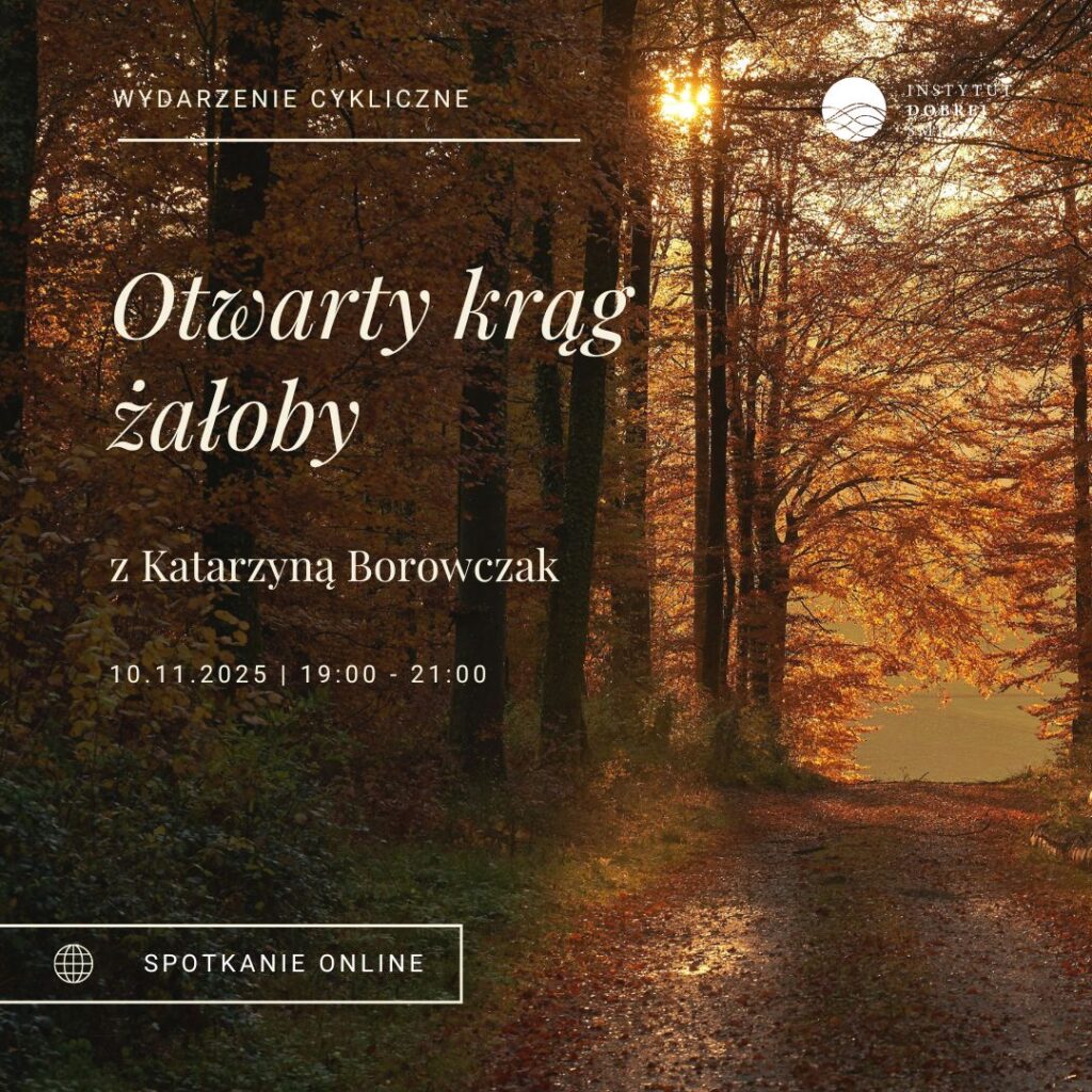 jesienna droga w lesie