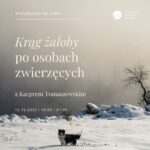 Zimowy krajobraz i pies