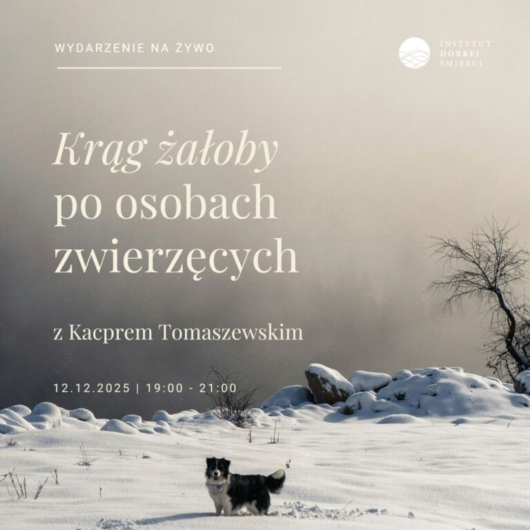 Zimowy krajobraz i pies