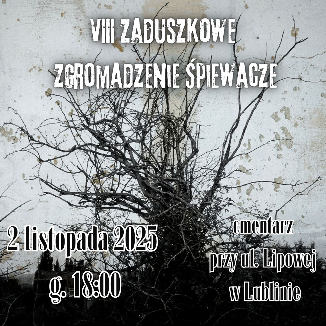 Gałęzie drzewa i napisy