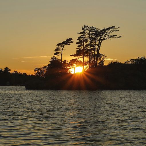 Woda i zachodzące za drzewami słońce