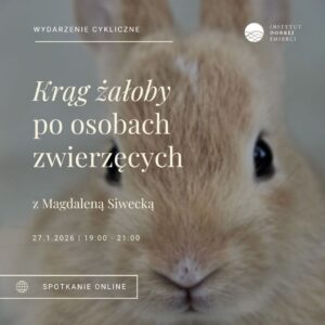 brązowy pyszczek królika i białe napisy