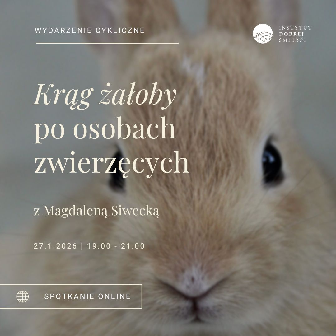 brązowy pyszczek królika i białe napisy