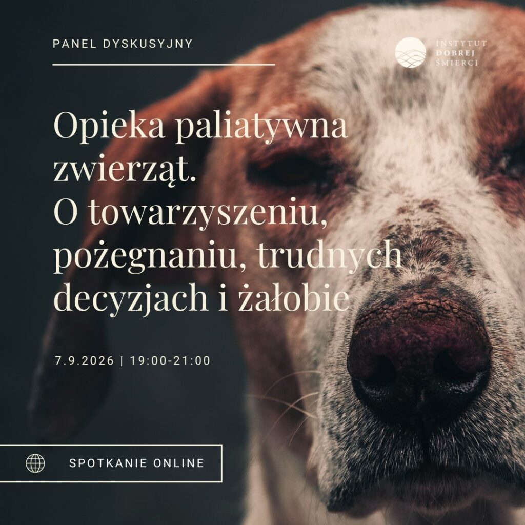Pies i białe napisy