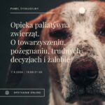 Pies i białe napisy