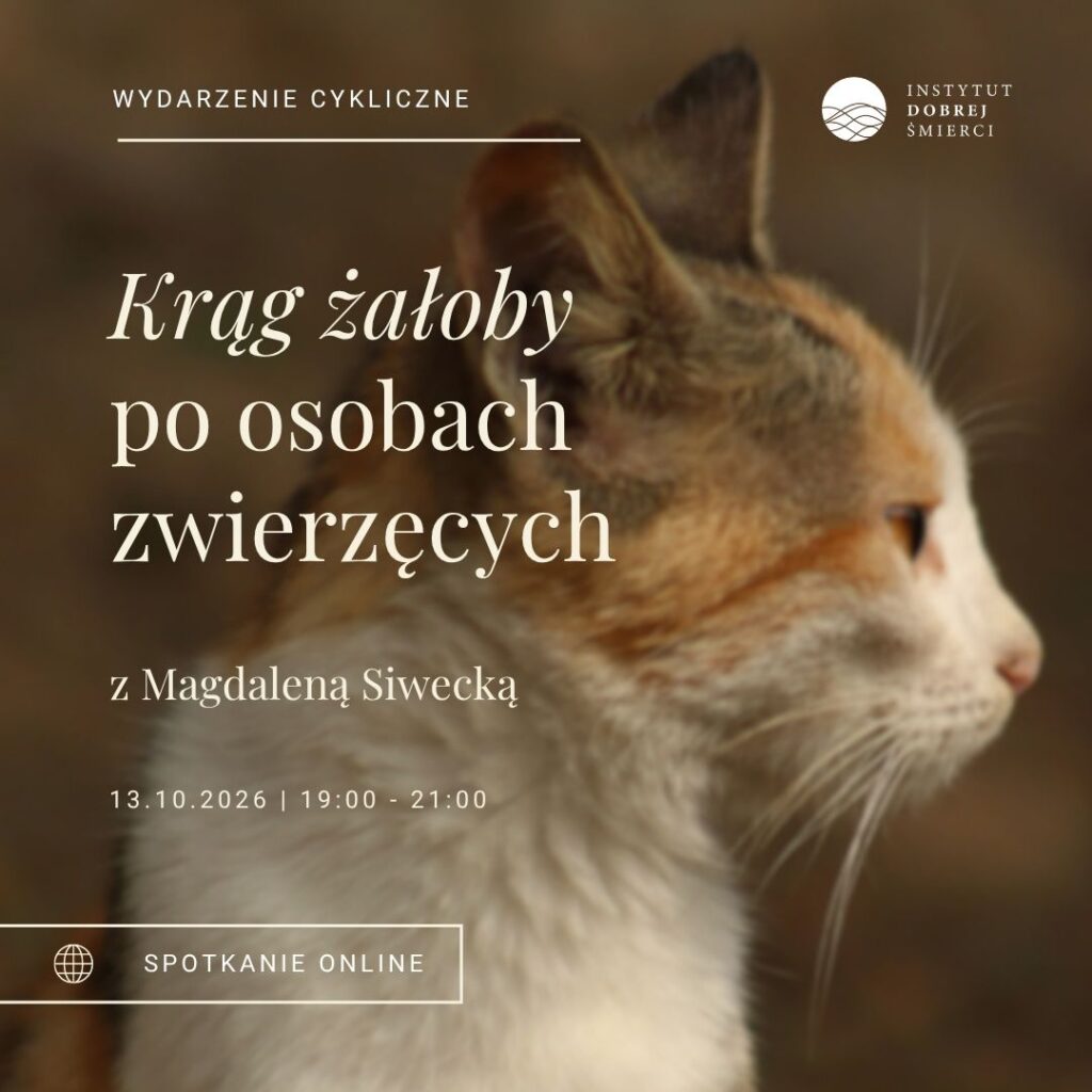 Kot i białe napisy