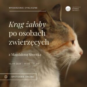 Kot i białe napisy